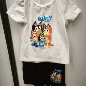 conjunto bluey